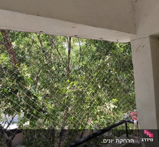 רשת הגנה על מרפסת עם עצים ברקע